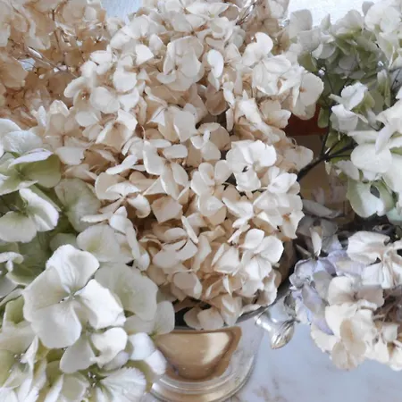 Rotdorn מלון ברלין