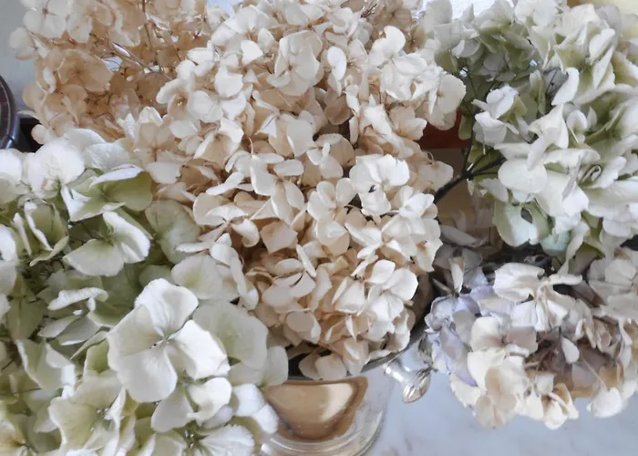 Rotdorn Hotel Berlín